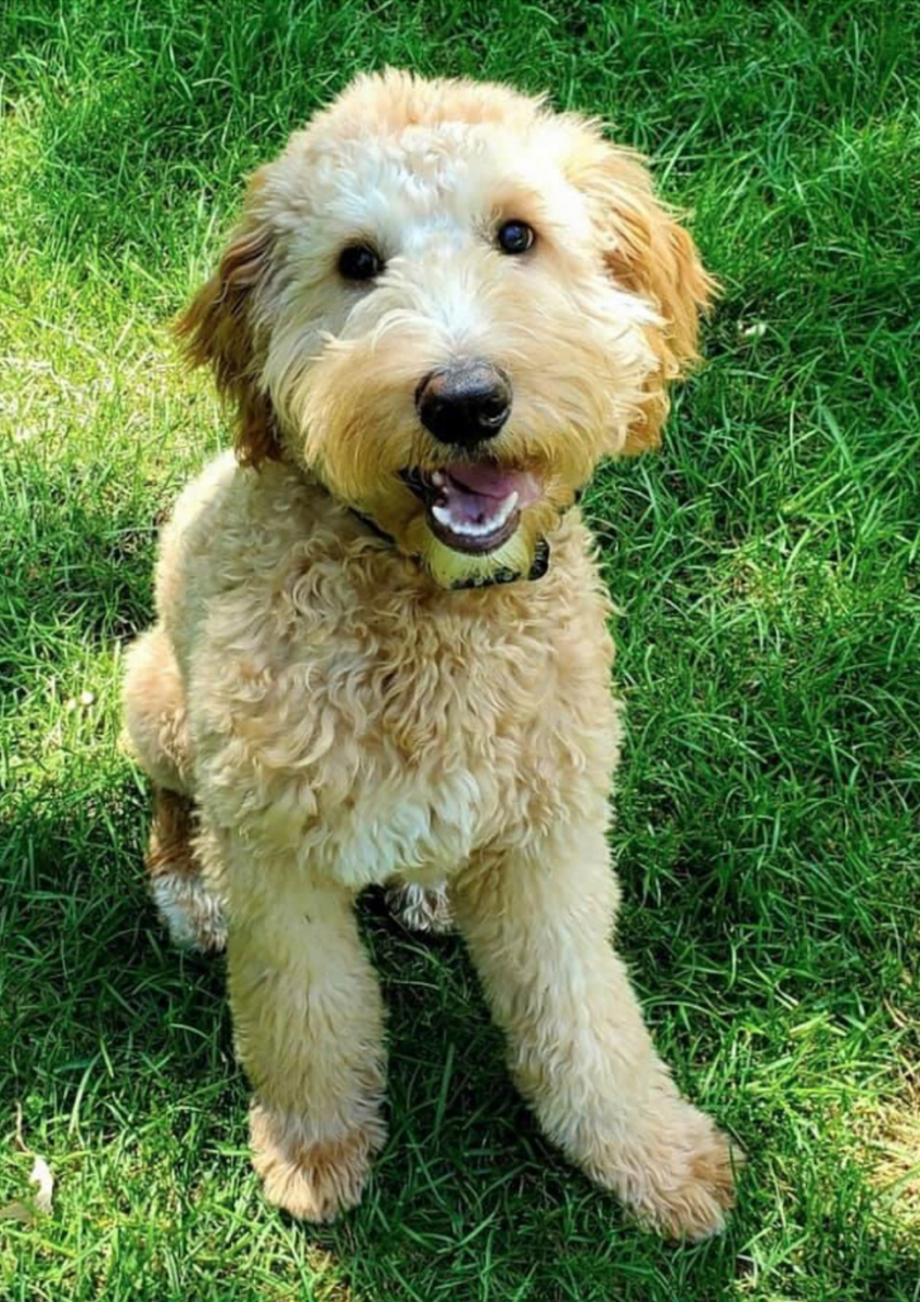 Screen-Shot-2021-08-24-at-12.36.40-PM